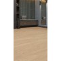 Секвойя Натуральная ЕСО 6-9 SPC - Кварцвиниловая плитка Alpine Floor Sequoia