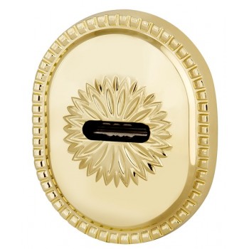 Декоративная накладка Armadillo (Армадилло) на сувальдный замок PS-DEC CL (ATC Protector 1) GP Золото